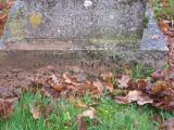 image of grave number 291614